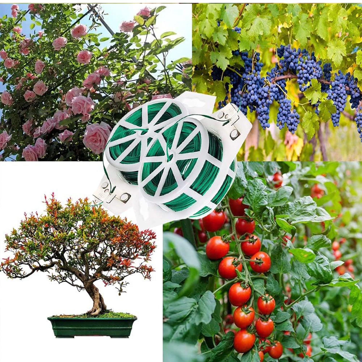Garden Wire, Sturdy Plant Ties for Support, Garden Ties with Cutter for Tomatoes Vines, Plant Wire Tie Wire for Indoor, Outdoor, Home and Office Use (50 Mtr) Garden Wire, Sturdy Plant Ties for Support, Garden Ties with Cutter for Tomatoes Vines, Plant Wire Tie Wire for Indoor, Outdoor, Home and Office Use (50 Mtr)